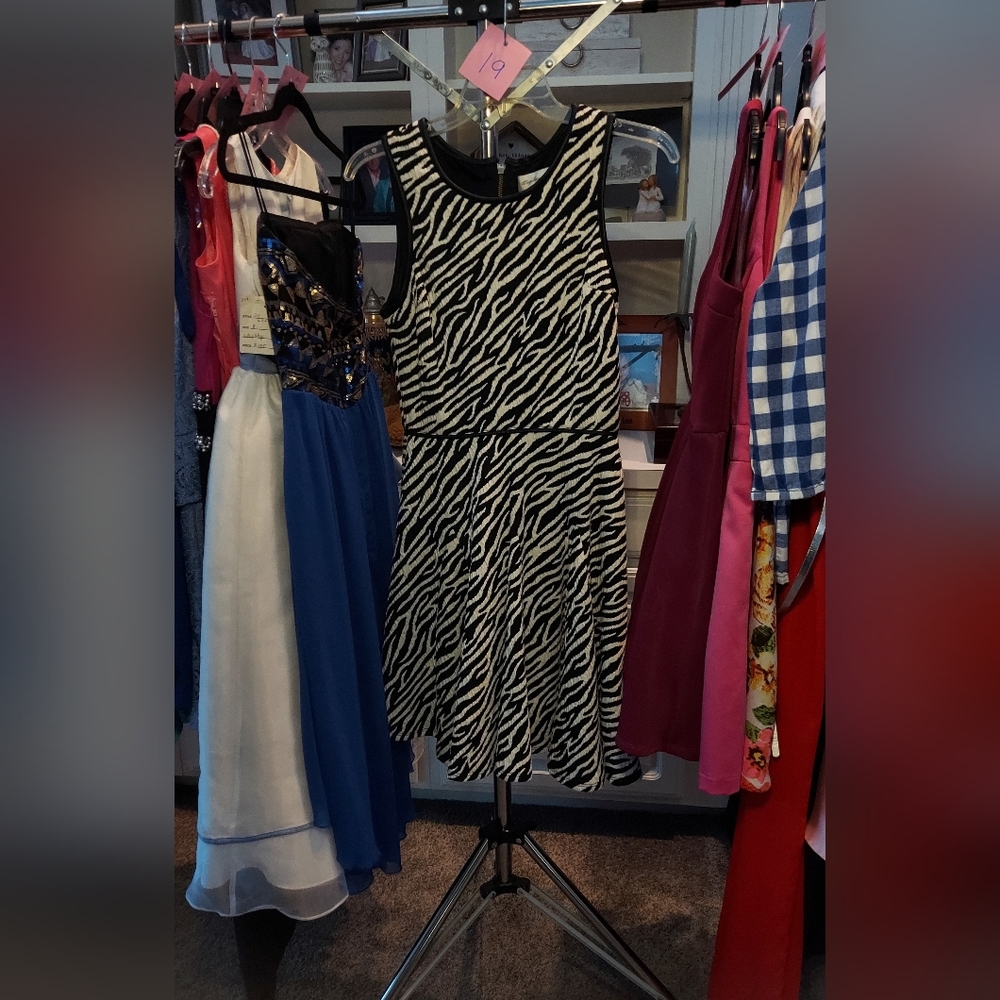 Teabags Los angeles Zebra Print Dress